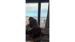 Fernanda Mota Farhat Nude Reverse Riding My Dildo For You